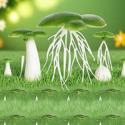 Planted Aquarium Mini - 2Packs Fake Duckweed for Aquarium Artificial