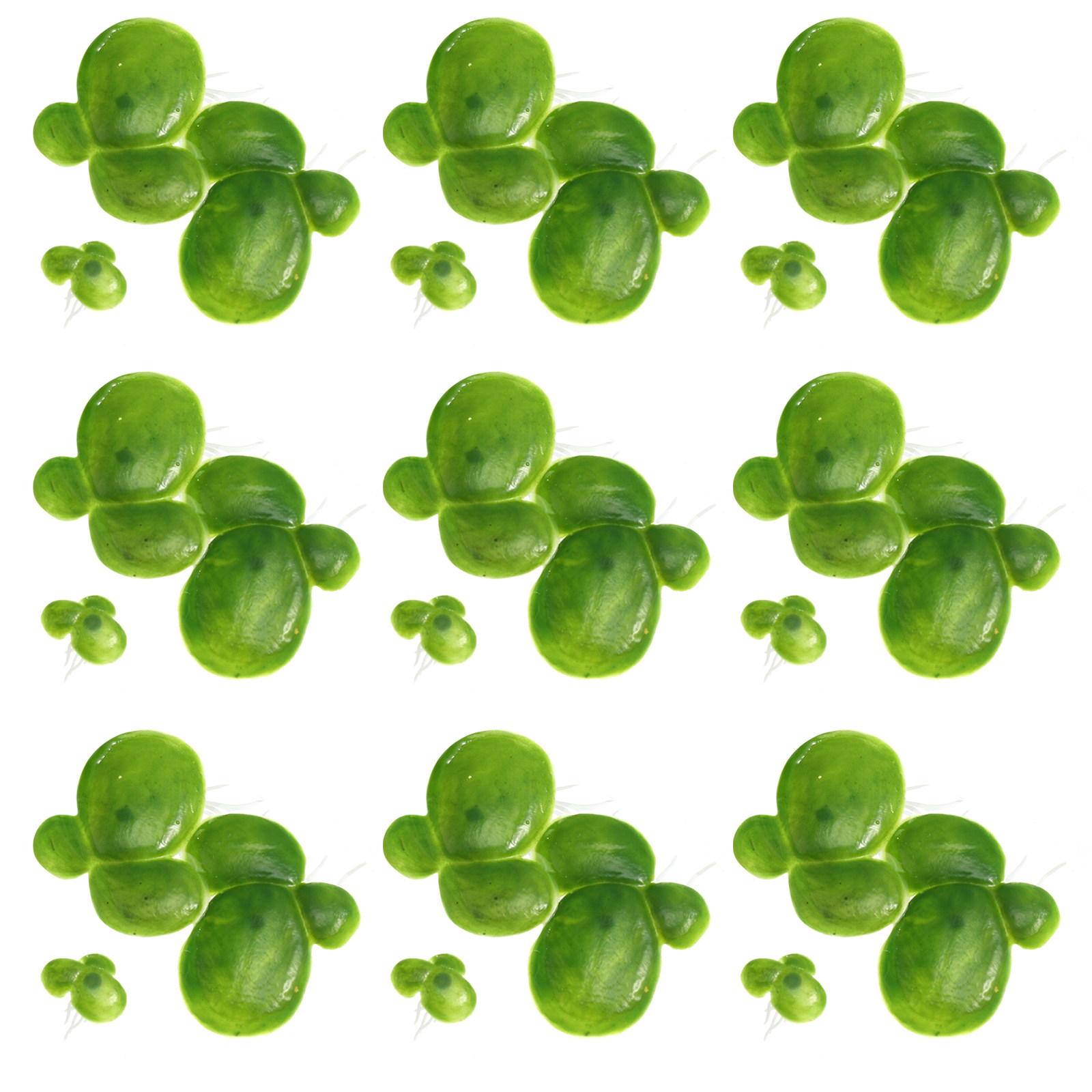 2Packs Fake Duckweed for Aquar - Planted Aquarium Mini ulasan dan harga