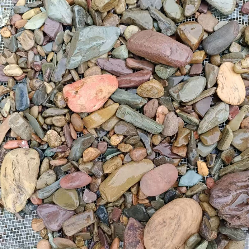 500g Fish Tank Bottom Sand Sto - Aquarium Planted Sand ulasan dan harga