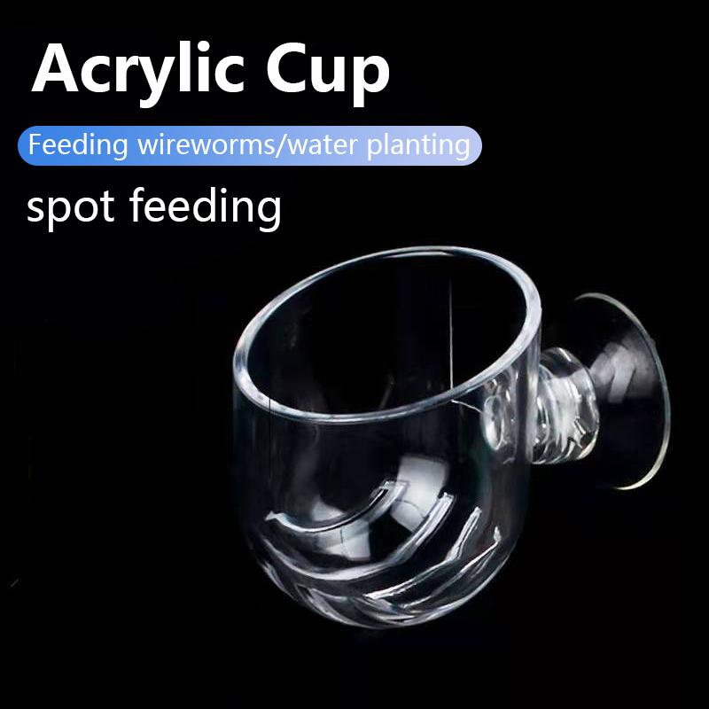 Aquarium Decoration Plant Cup  - Planted Aquarium Products ulasan dan harga