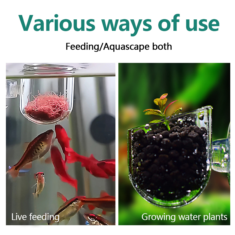 Aquarium Decoration Plant Cup  - Planted Aquarium Products ulasan dan harga