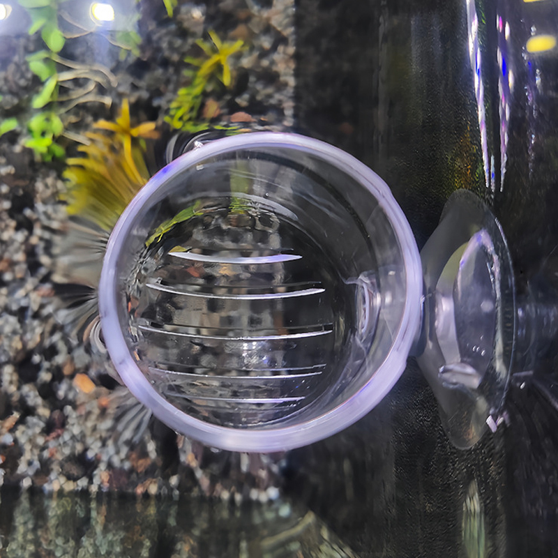 Aquarium Decoration Plant Cup  - Planted Aquarium Products ulasan dan harga