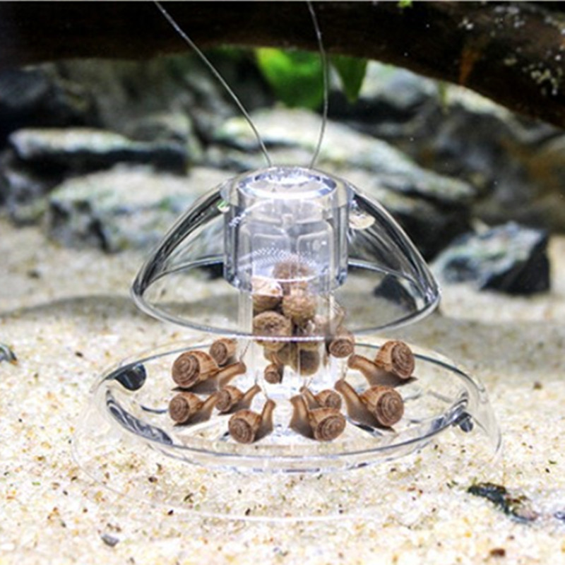 1PCS Fish Tank Aquarium Cleane - Planted Aquarium Products ulasan dan harga
