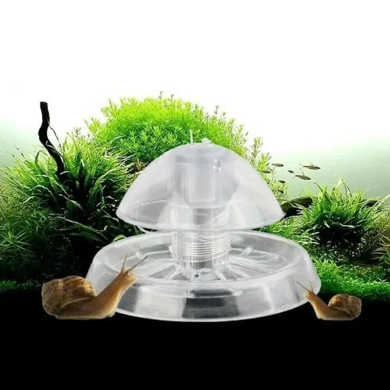 2026 New 6/8CM Clear Plastic S - Planted Aquarium Products ulasan dan harga