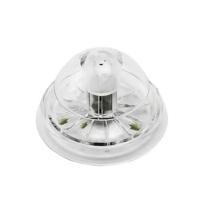 2026 New 6/8CM Clear Plastic S - Planted Aquarium Products ulasan dan harga