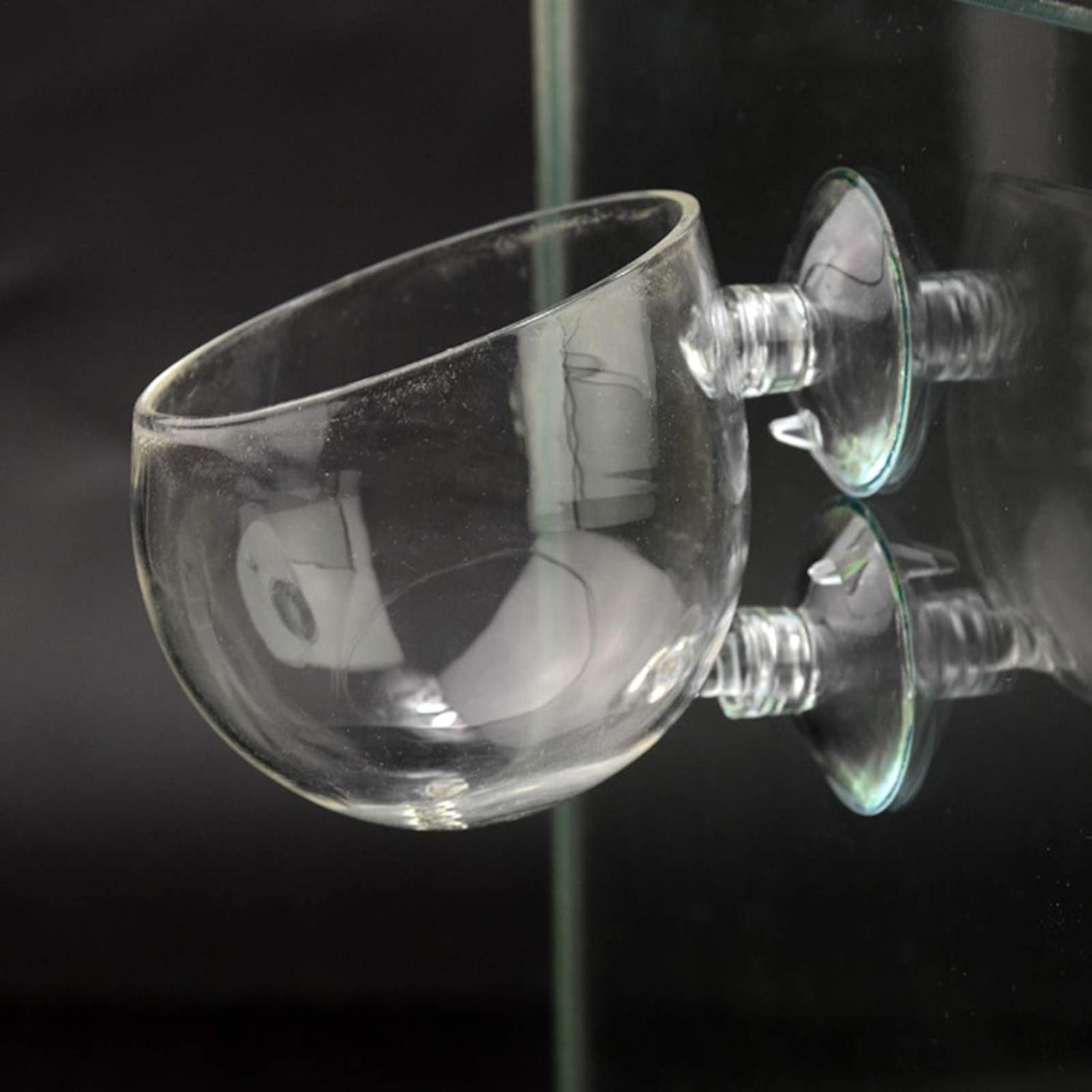 Aquarium Plant Holder Glass Aq - Aquarium Plant Design ulasan dan harga