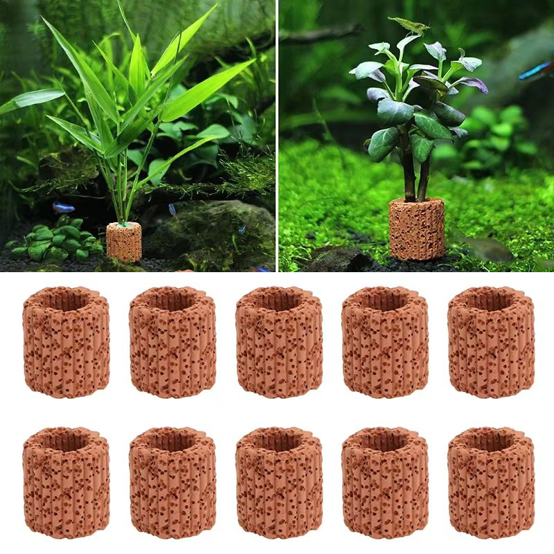 Aquatic Plant Fixed Ring for A - Planted Aquarium Products ulasan dan harga