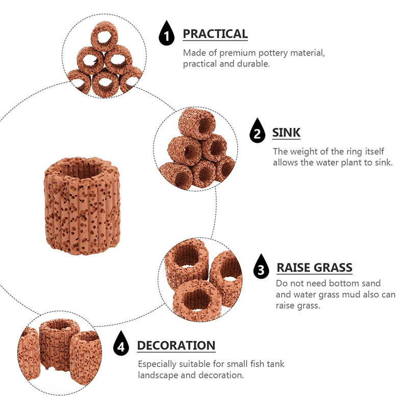 Aquatic Plant Fixed Ring for A - Planted Aquarium Products ulasan dan harga