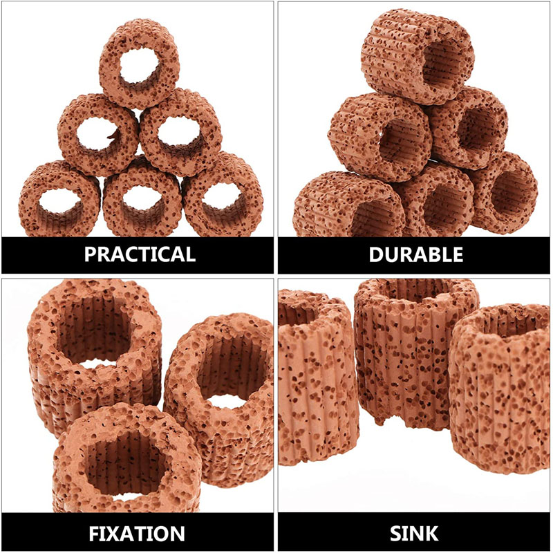 Aquatic Plant Fixed Ring for A - Planted Aquarium Products ulasan dan harga