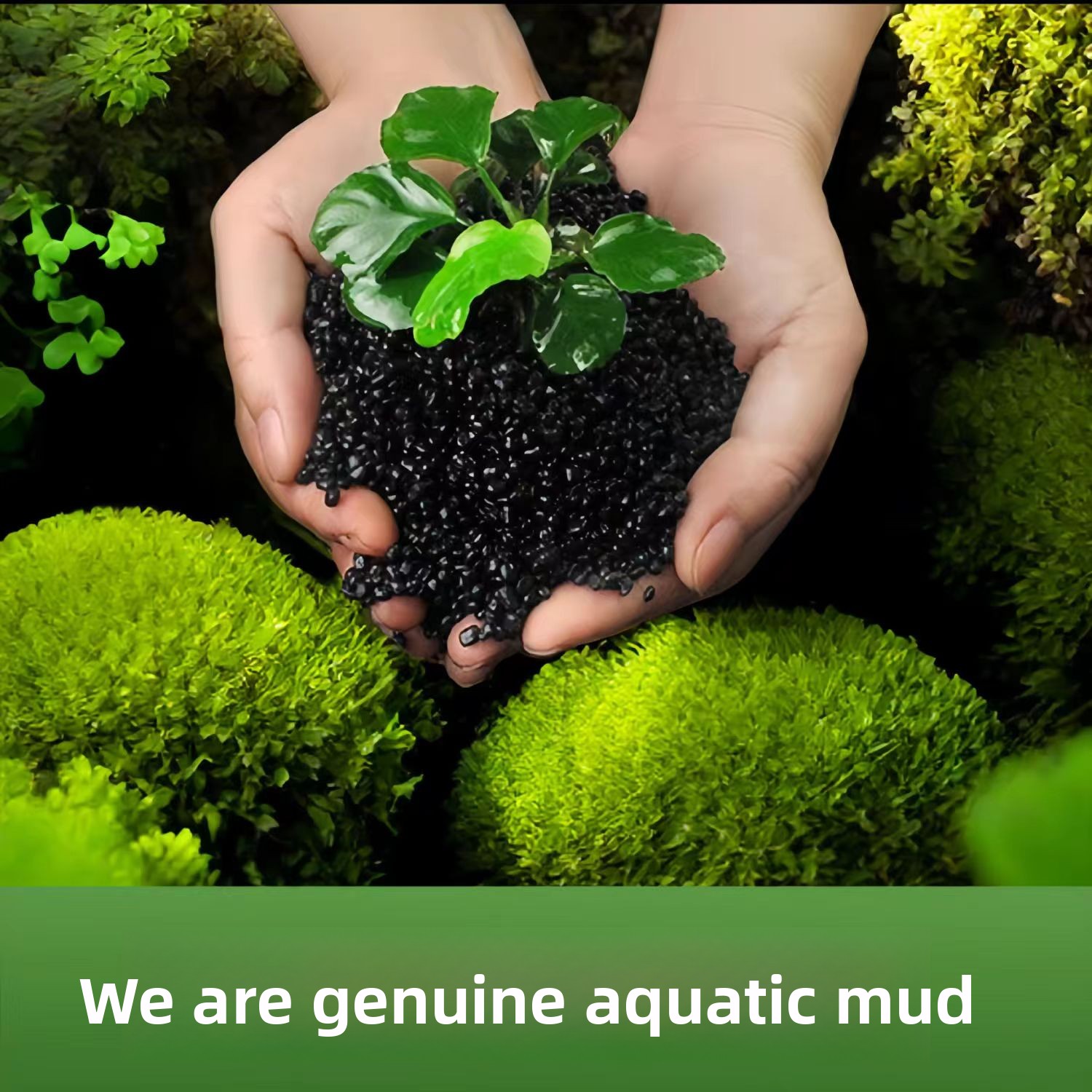 Non-Ceramic Aquatic Plant Mud  - Aquarium Planted Sand ulasan dan harga