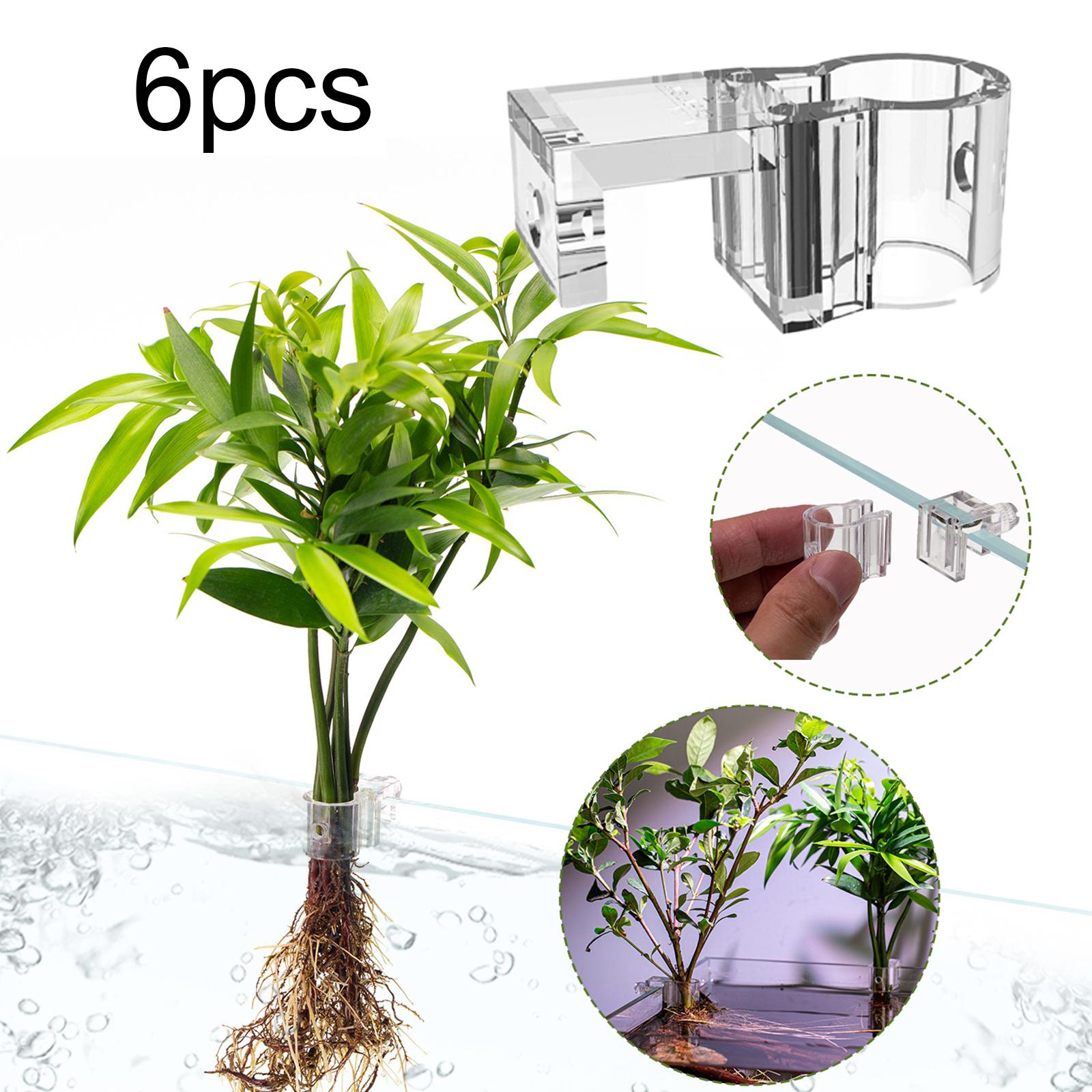 6Pcs Aquarium Plant Holder Sup - Planted Aquarium Mini ulasan dan harga
