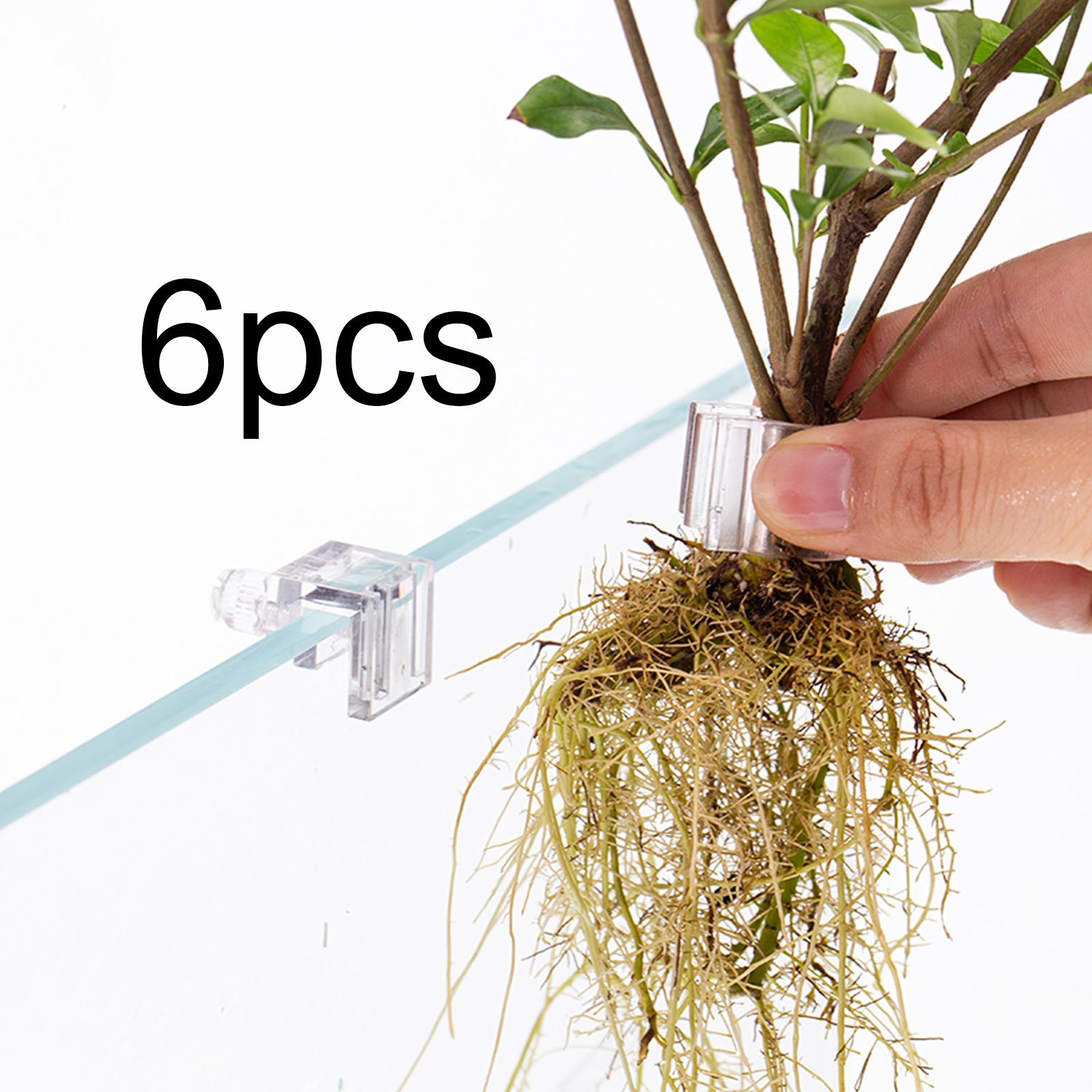6Pcs Aquarium Plant Holder Sup - Planted Aquarium Mini ulasan dan harga