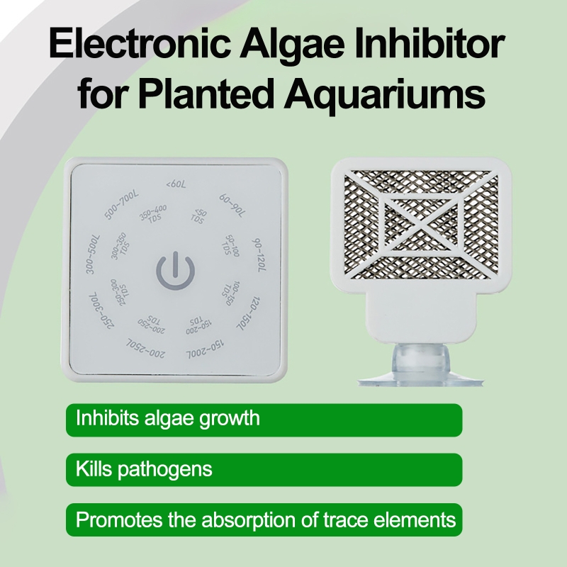Electronic Aquarium Fish Tank  - Planted Aquarium Products ulasan dan harga