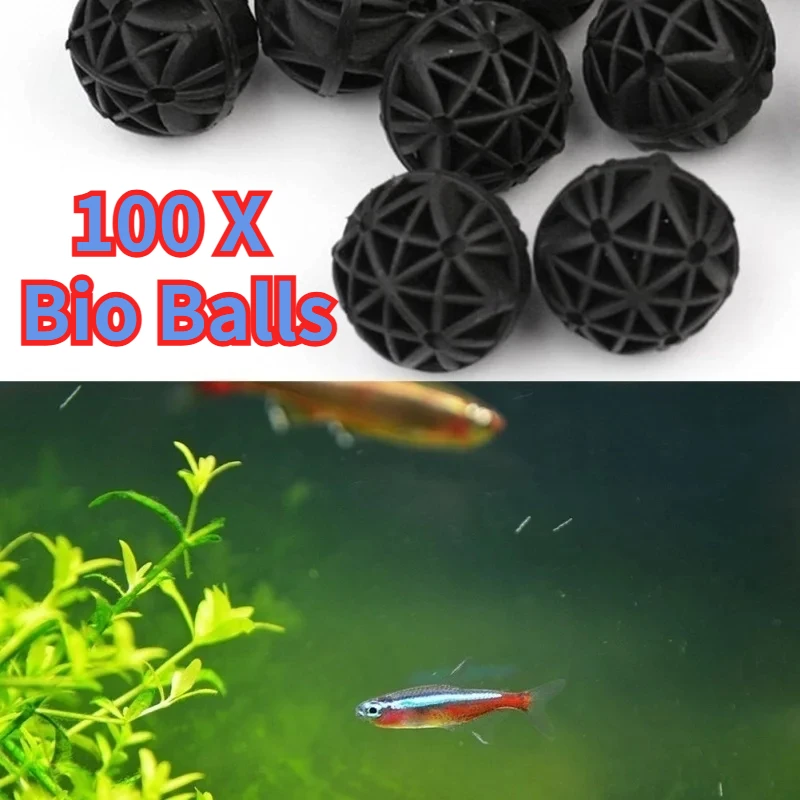 50/100Pcs Home Aquarium Pond B - Planted Aquarium Products ulasan dan harga