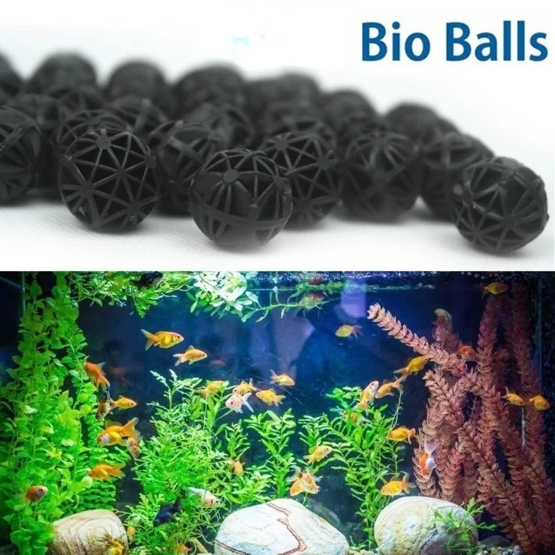 50/100Pcs Home Aquarium Pond B - Planted Aquarium Products ulasan dan harga