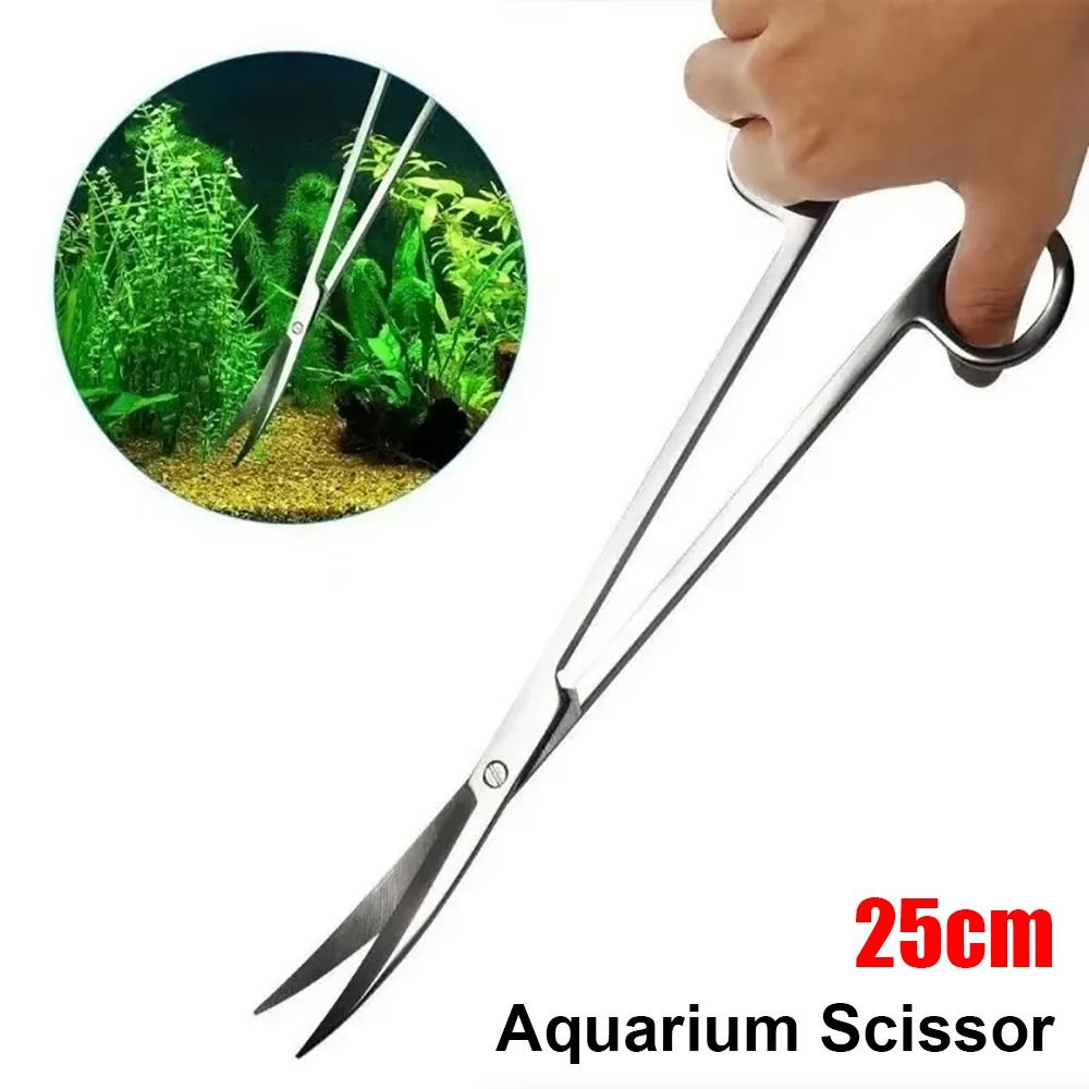 100g Quartz Sand for Potted Pl - Aquarium Planted Sand ulasan dan harga