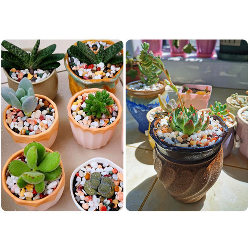 Fish Tank Bottom Sand DIY Acce - Aquarium Planted Sand ulasan dan harga