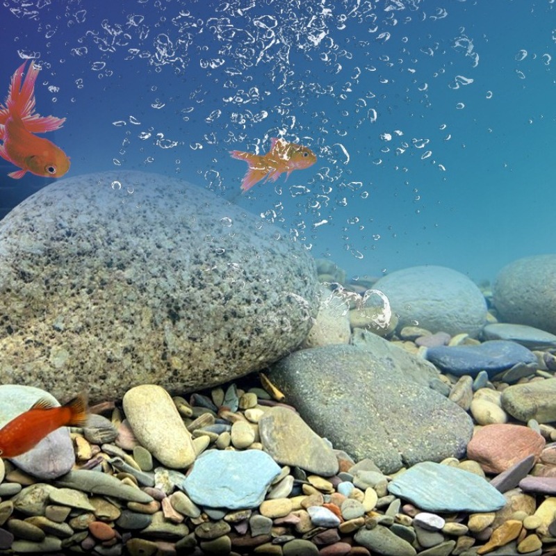 Stream Pebbles Aquarium Bottom - Aquarium Planted Sand ulasan dan harga