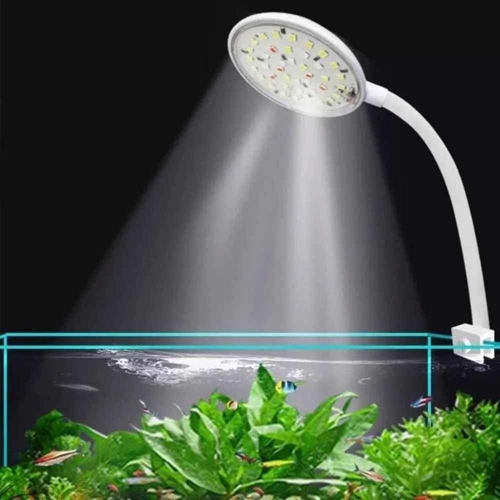 New Mini Fish Tank Clip Lamp 5 - Planted Aquarium Mini ulasan dan harga