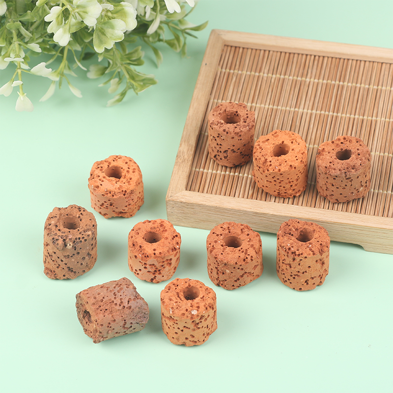 ^10Pcs Plant Ring Aquarium Fix - Planted Aquarium Products ulasan dan harga