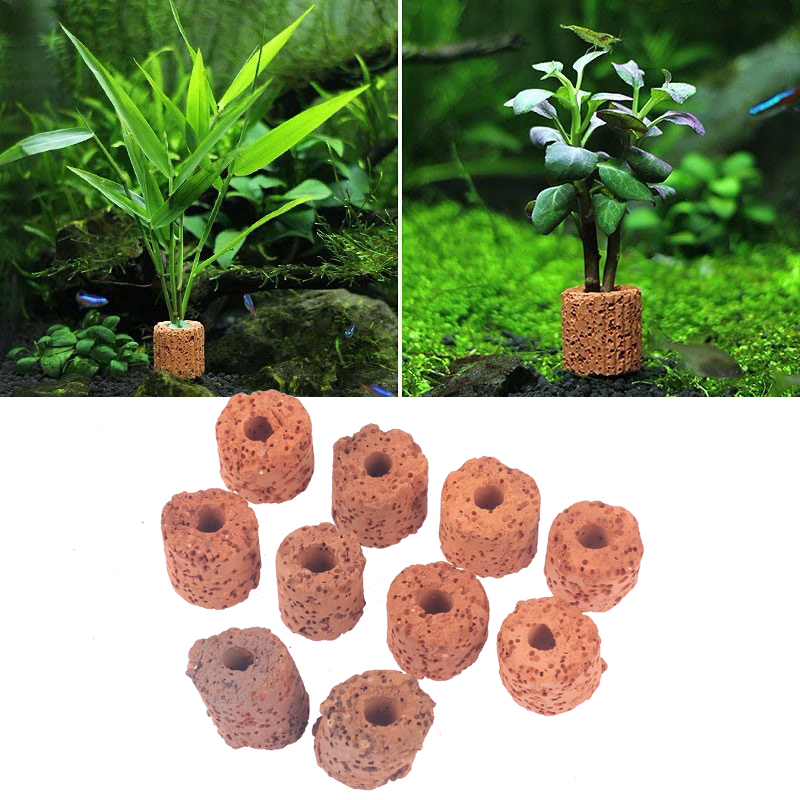 ^10Pcs Plant Ring Aquarium Fix - Planted Aquarium Products ulasan dan harga