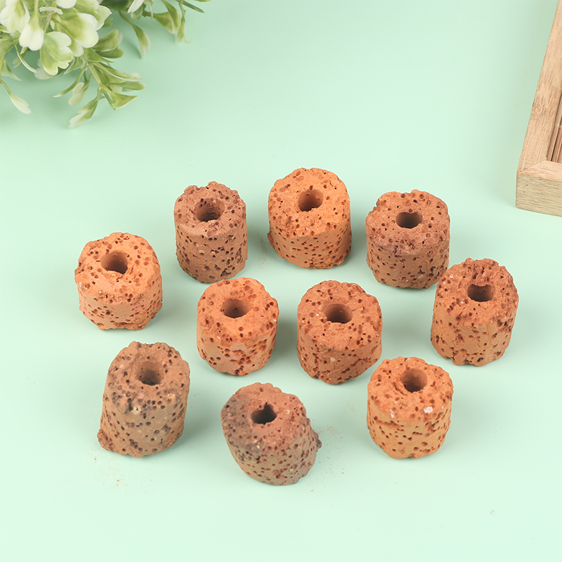 ^10Pcs Plant Ring Aquarium Fix - Planted Aquarium Products ulasan dan harga