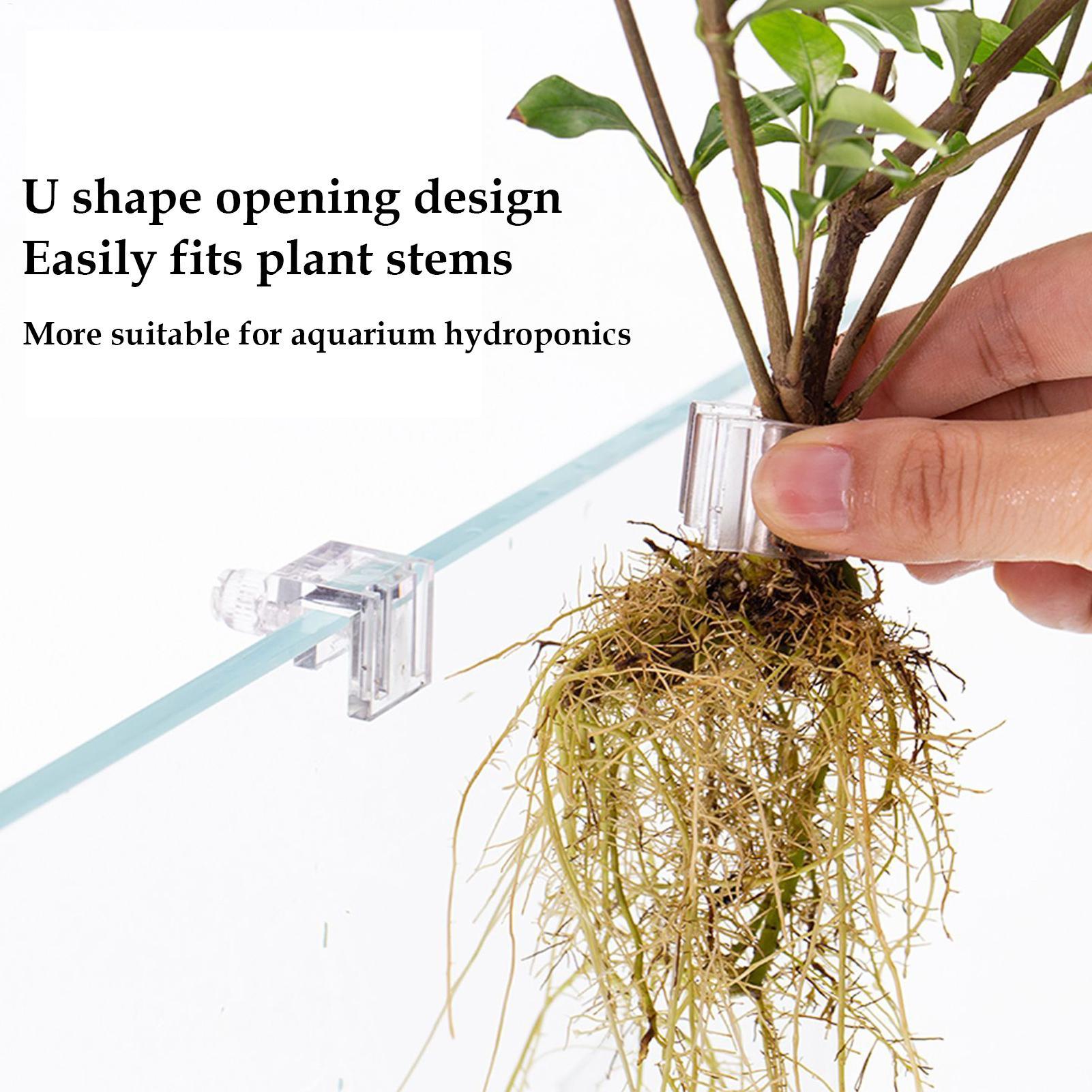 Mini Fish Tank Planter Pot 6Pc - Planted Aquarium Mini ulasan dan harga
