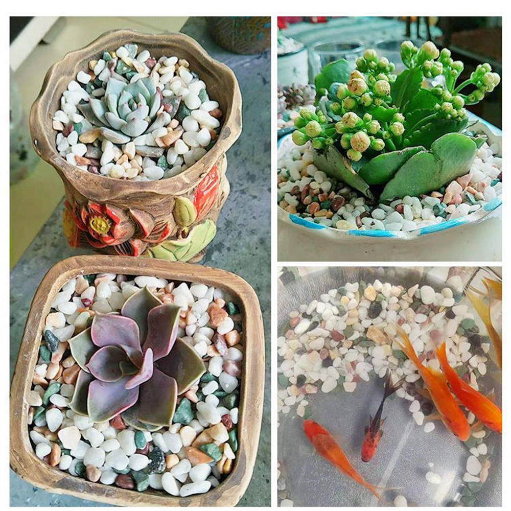 100g Natural Crystals Gravel S - Aquarium Planted Sand ulasan dan harga