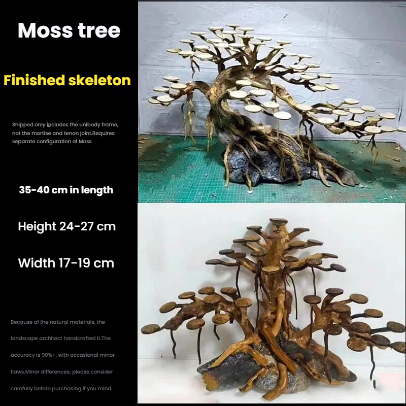Aquarium Landscaping Moss Tree - Aquarium Plant Design ulasan dan harga