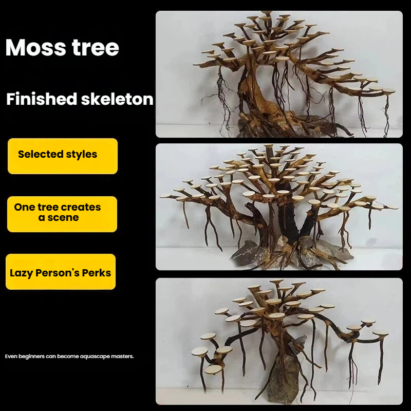 Aquarium Landscaping Moss Tree - Aquarium Plant Design ulasan dan harga