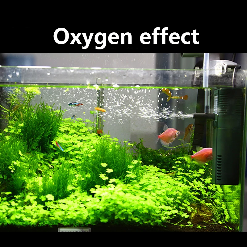 SUNSUN mini nano 111B 311B 611 - Planted Aquarium Products ulasan dan harga