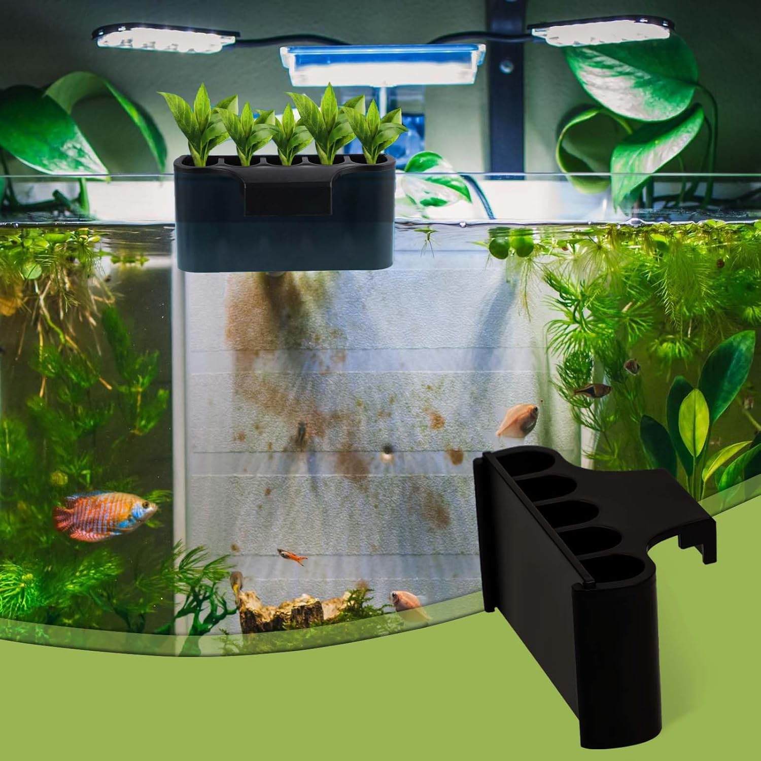 Aquarium Planter With Integrat - Planted Aquarium Maintenance ulasan dan harga